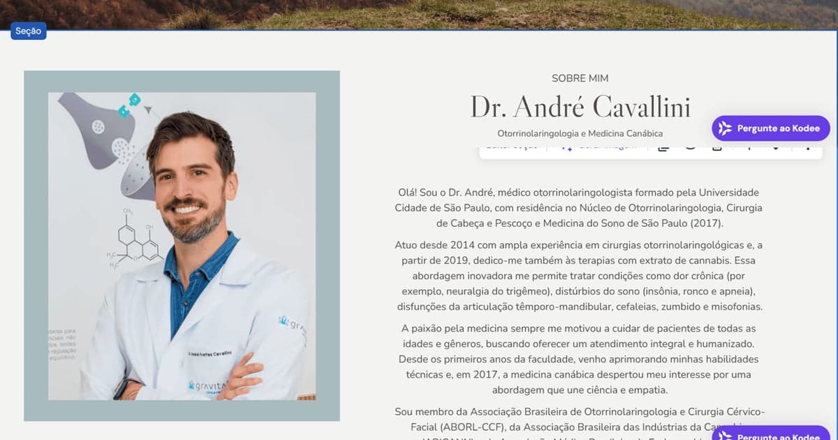 André Freitas Cavallini da Silva