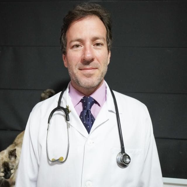 Luiz Antonio Manso Vieira Júnior